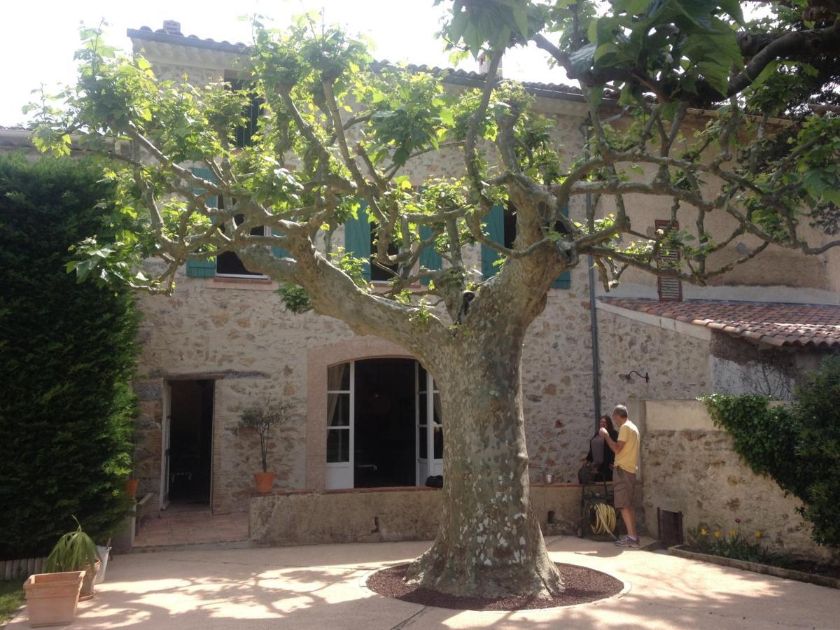 Bed and Breakfast L'Abri du Poète Besse-sur-Issole Esterno foto